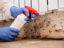 Trusted Mccoll, SC Mold Removal Services Experts